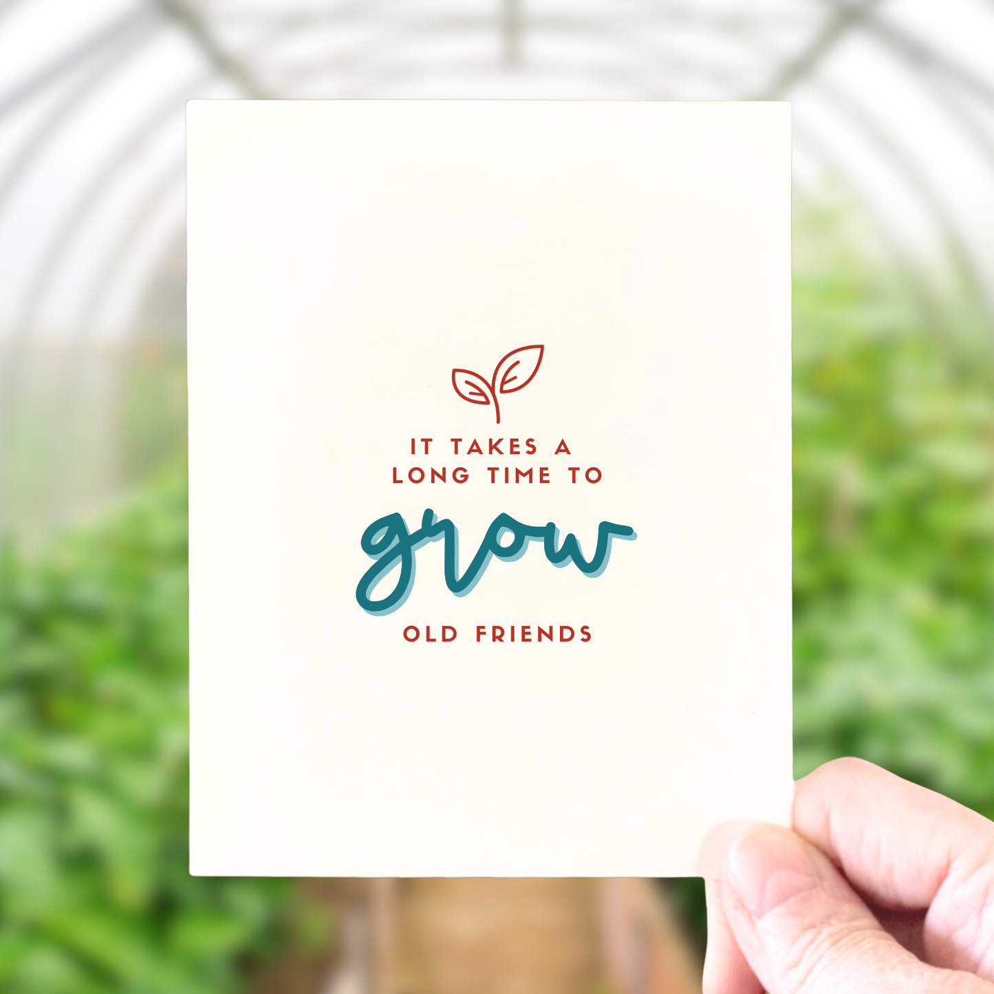 Grow Old Friends, Love & Friendship Card