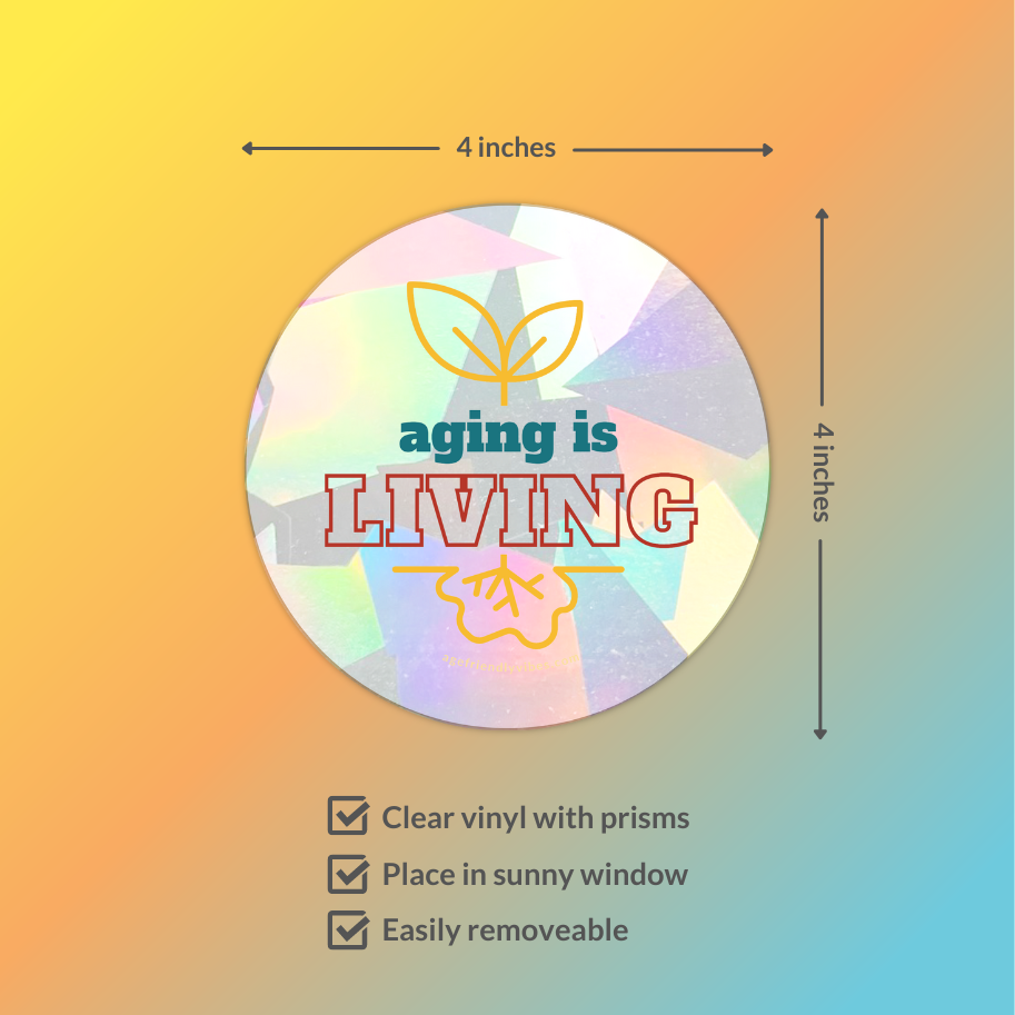 Sun Catcher Window Decal Collection (set of 6)